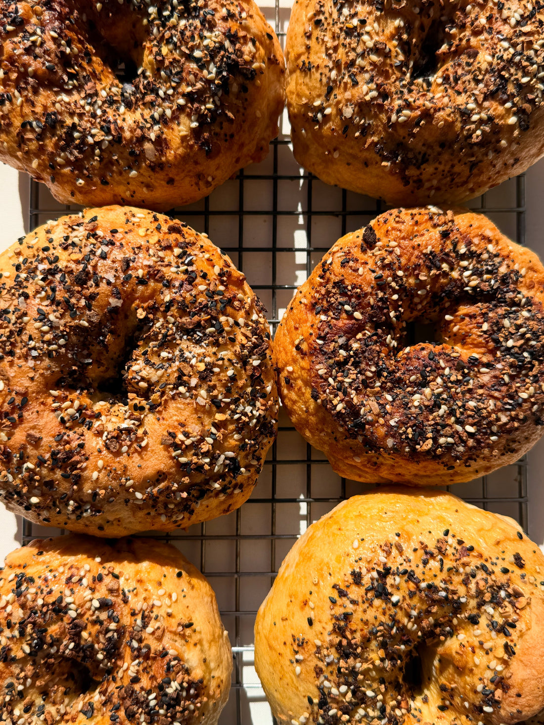 Everything Shito Bagels&nbsp;